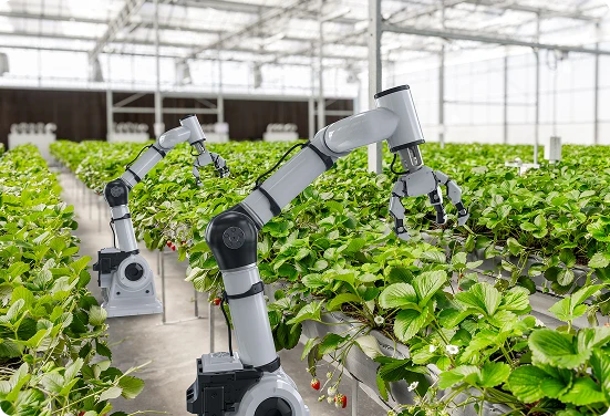 robotic-arm-solutions